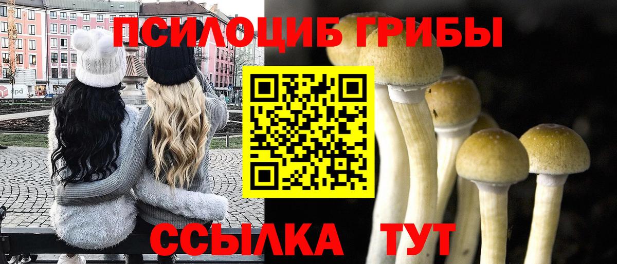 Галлюциногенные грибы ЛСД Мыски
