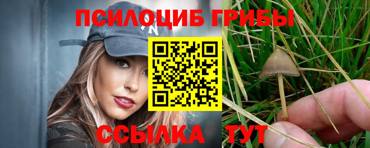 Галлюциногенные грибы ЛСД  Вход с VPN  Мыски 